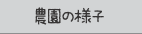 農園の様子