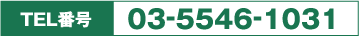 TEL番号　03-5546-1031